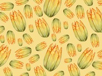Hand drawn squash blossom patterned background illustration