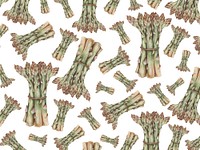 Hand drawn asparagus patterned background illustration