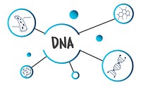Science DNA Research Development Human