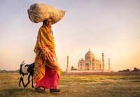 Indian woman and goat near the taj mahal