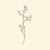 Wild flower minimal illustration 