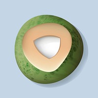 Fresh Cut Open Coconut Vector Illustration
