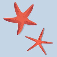 Two Red Starfish Vector Illustrarion