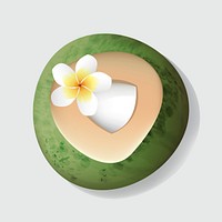 Fresh Cut Open Coconut  with Flower Vector Illustration