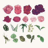 Illustration of roses isolated on white background