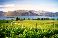 Beautiful countryside in New Zealand.