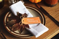 Plate Knife Thanksgiving Table Setting Concept