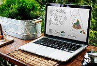 Plants Retail Fresh Store Gardening Nature Growth