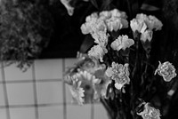 Bunch of Carnation Flower Beautiful