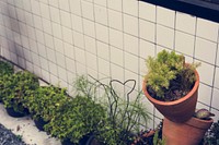 Plant Pot by the Wall Space Decoration