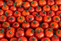 A bunch of fresh tomato produce