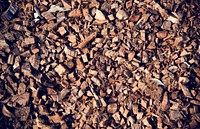 Many brown dried pathe texture