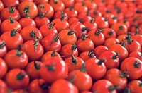 Fresh organic tomatoes product pattern