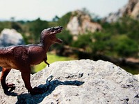 Tyrannosaurus rex toy overlooking from a cliff