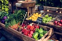 Organic fresh agricultural product at farmer market