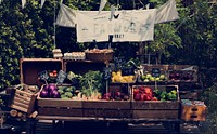 Fresh Local Organic Vegetable at Farmers Market