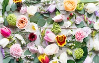 Various Fresh Flowers with Blank Design Space on Wooden Background