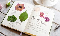 Detail of Dried Flowers Collection in Notebook Handmade Work Hobby