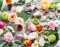 Fresh Variety Flowers Arrangement Decorative as Background