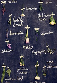 Dried Flowers with Name Attached on Black Board Handmade