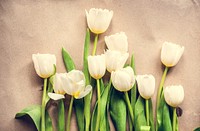 Fresh White Tulips Flowers Arrangement on Craft Paper