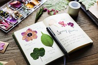 Detail of Dried Flowers Collection in Notebook Handmade Work Hobby
