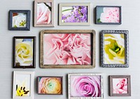 Photo Frames with Flowers on Gray Background