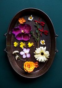 Assorted flowers in a tub