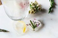 Slice of lemon with flower and ice