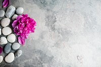 Stones and carnation flower on the grunge concrete background