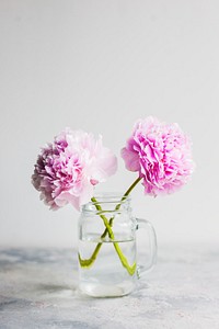 Decorative pink carnations in a jug
