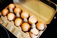 Tray of dozen eggs with shells