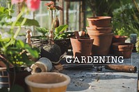 Planting Gardening Hobby Leisure Environment