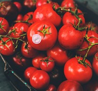 Fresh natural raw red tomato