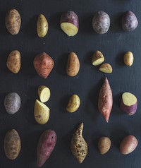 Different kinds of potato in a row