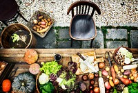 Aerial view of prepare to cook fresh vegetable on wooden table in the kitchen
