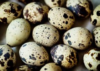 Closeup of fresh organic quail eggs