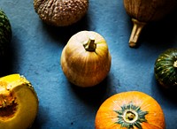 Aerial view of diverse fresh pumpkins