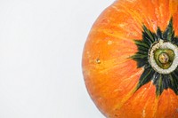 Closeup of fresh pumpkin on white background