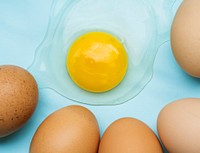 Closeup of fresh organic egg yolk