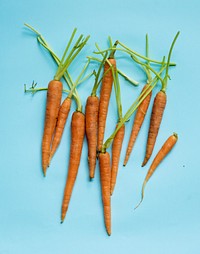 Raw natural fresh organic carrot