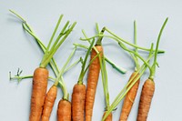 Raw natural fresh organic carrot