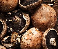 Fresh organic portabello mushroom