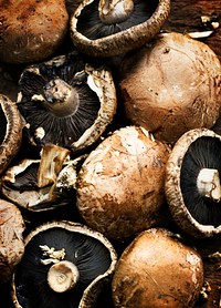 Fresh organic portabello mushroom