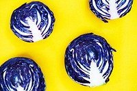Purple cabbage on yellow background