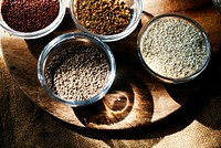 Cooking herbs and  spices seasoning