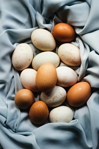 Closeup of fresh organic various eggs