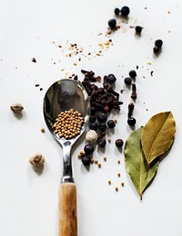 Variety of spice in spoon and white background