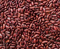 Closeup of red kidney beans legume