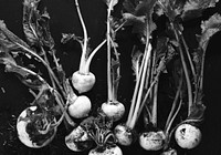 Close-up turnips photo in black and white
